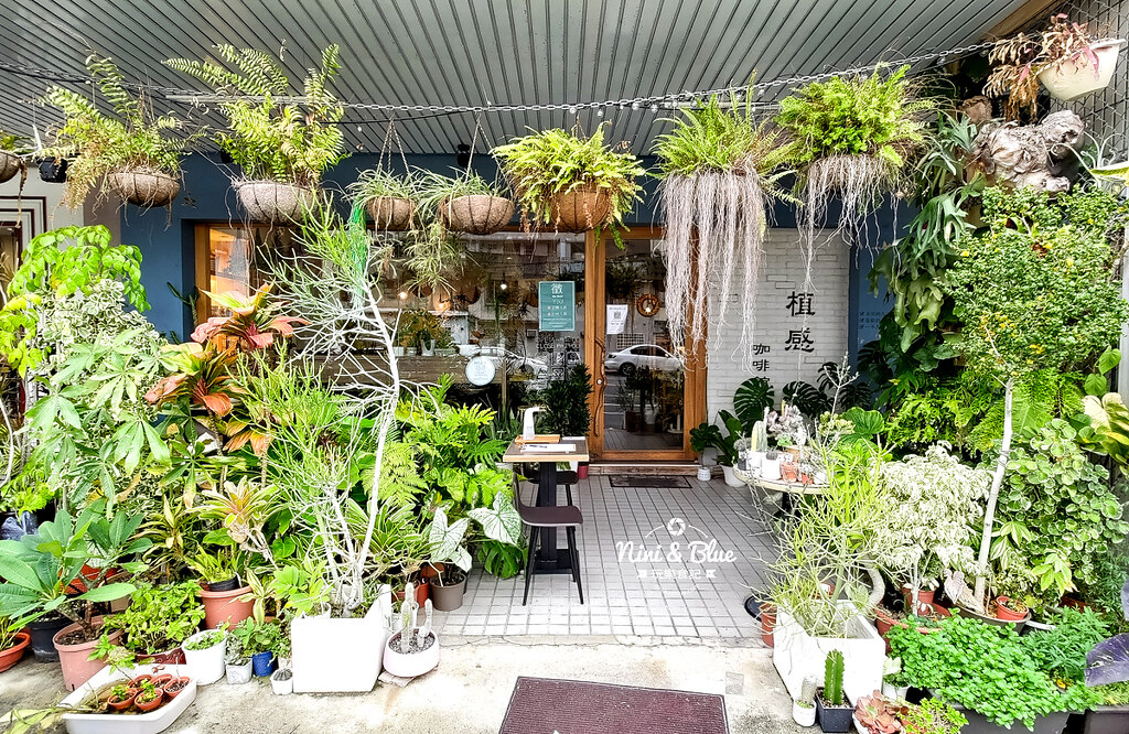 植感咖啡 | 苗栗鹿角蕨、觀葉植物咖啡館，在綠色植栽中享受千層蛋糕，近苗栗火車站 @嘿!部落!
