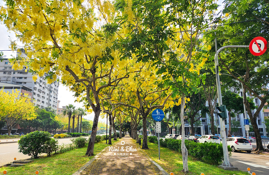 興大園道阿勃勒黃金步道 | 台中中興大學旁的金色步道，全台10大花道之一 @嘿!部落!