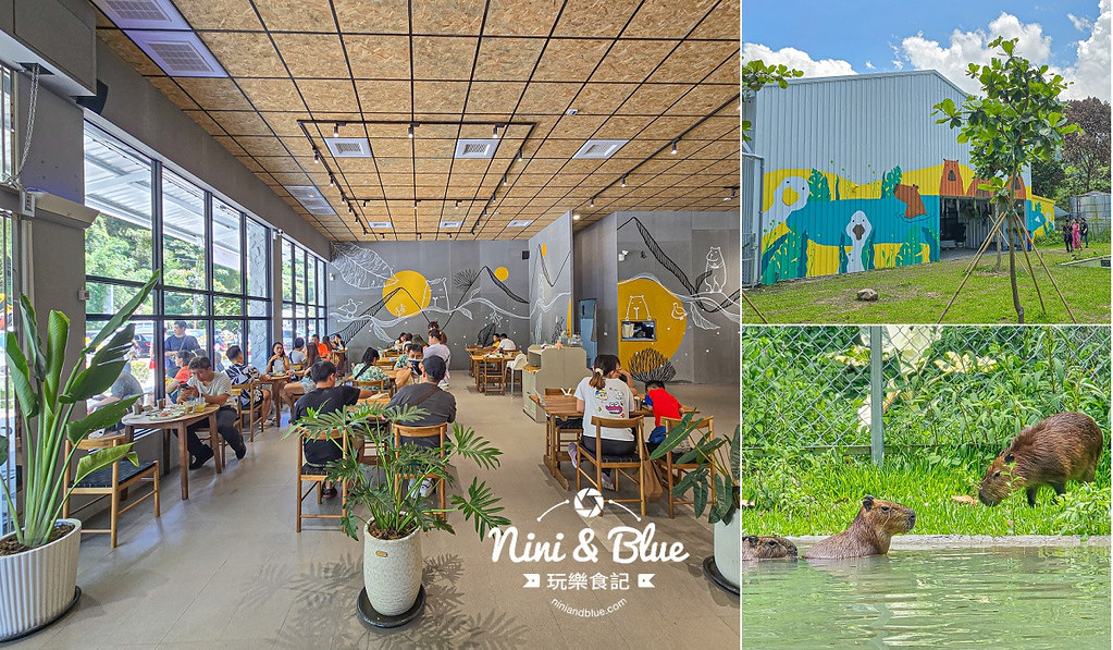 享日啡啡-南投埔里寵物親子咖啡館,4隻水豚君呆萌超療癒,埔里景點推薦