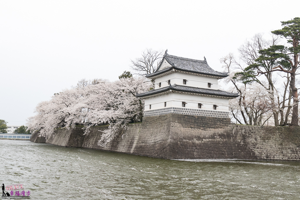 新潟新發田城｜日本新潟市– 日本百大名城之一，有著淡雅的染井吉野櫻，欣賞夜櫻的絕佳景點 @嘿!部落!