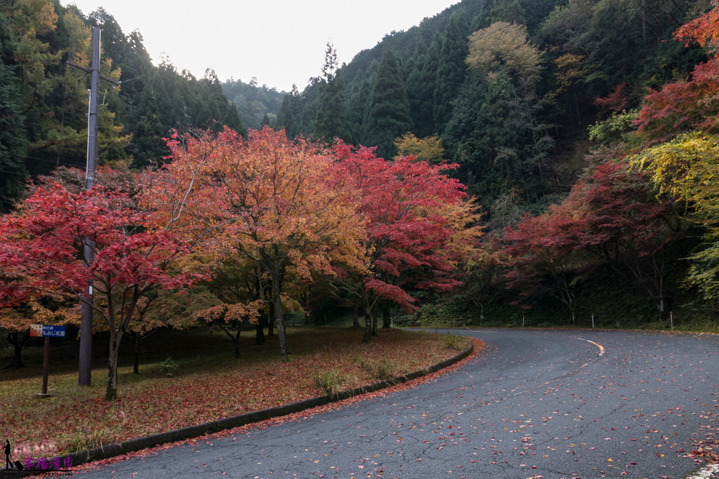 和歌山&middot;三重&middot;滋賀&middot;京都&middot;大阪自駕旅行懶人包|日本–南紀半島、關西賞楓自駕旅行景點、住宿、路線規劃總整理 @嘿!部落!