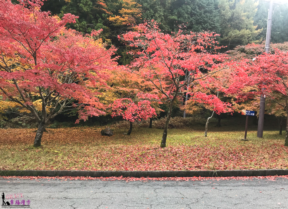 比叡山車道｜滋賀縣日本 –楓葉季最美麗的車道，滿山的紅葉盡收眼簾，順遊世界文化遺產佛寺 @嘿!部落!