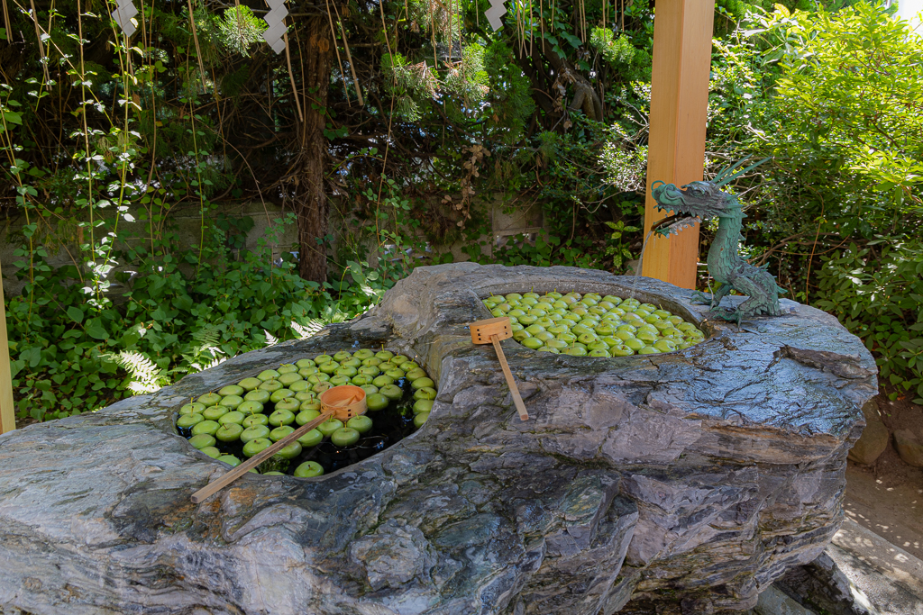 廣田神社｜青森縣日本–睡魔祭才會出現的睡魔金魚燈籠，還有整池蘋果的手水舍 @嘿!部落!