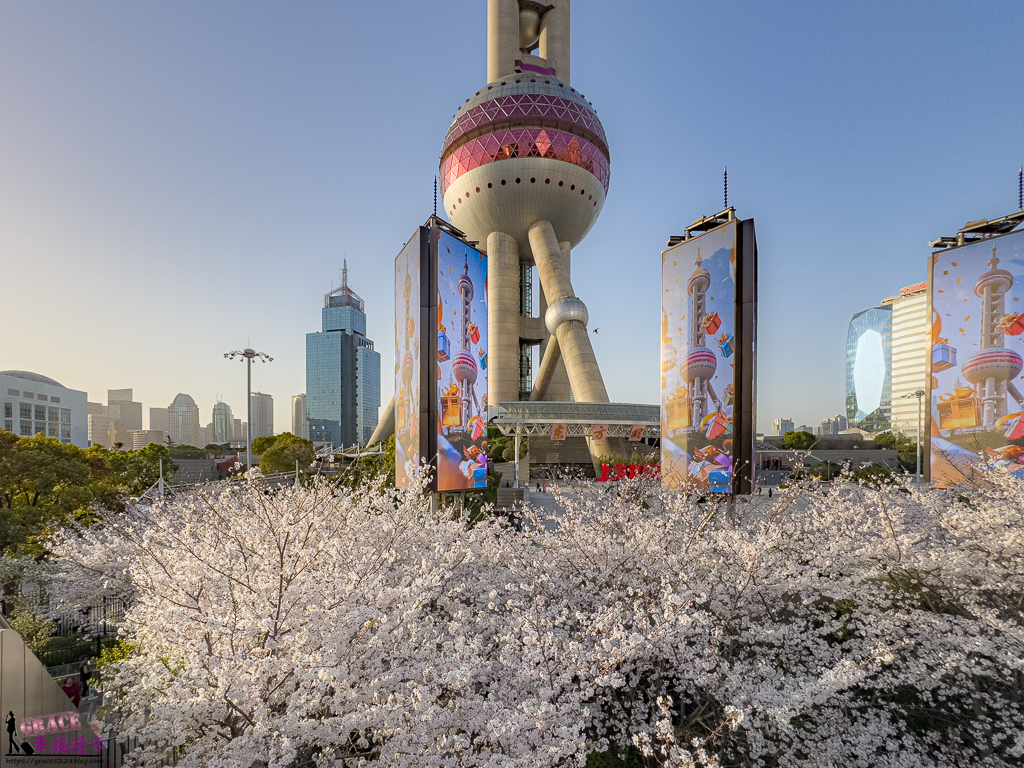 東方明珠塔｜上海中國-東方明珠塔最浪漫時刻，一次收錄櫻花海與城市天際線的絕美景觀 @嘿!部落!