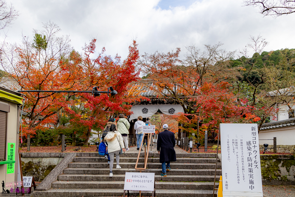 永觀堂(禪林寺)｜京都日本–京都著名的賞楓景點，超美的顏色堆疊如同置身畫中 @嘿!部落!