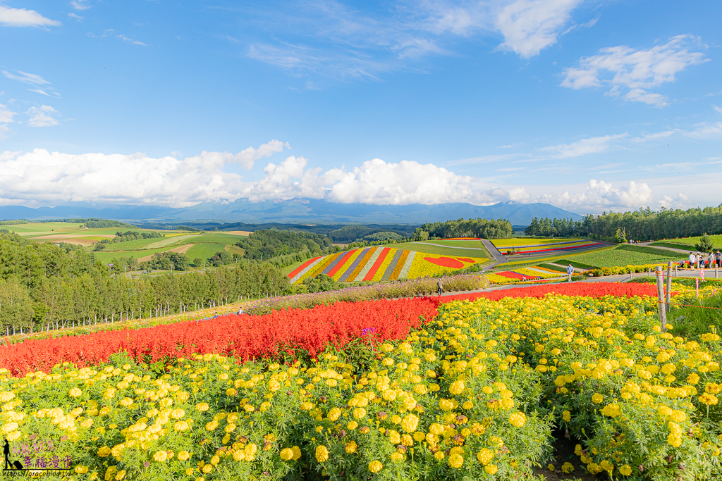 北海道自駕十日遊懶人包|日本–自駕走訪道東、道央美景，飯店、景點、餐廳資訊總整理 @嘿!部落!
