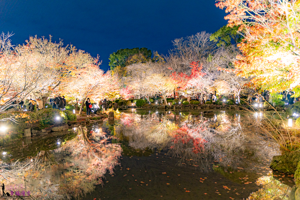 東寺｜京都市日本–京都最古老的寺院欣賞絕美的夜楓，不論是白天與夜晚都很美的賞楓景點 @嘿!部落!