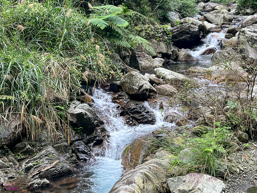 唐麻丹蝴蝶谷登山步道｜和平區台中市–谷關七雄老么欣賞原始森林風貌、順遊蝴蝶谷瀑布 @嘿!部落!