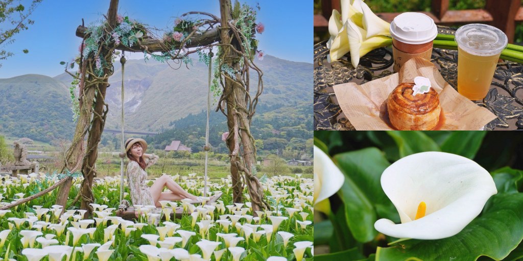 陽明山海芋田｜名陽匍休閒農莊｜海芋田仙氣十足，網美鞦韆小木屋好浪漫 @嘿!部落!