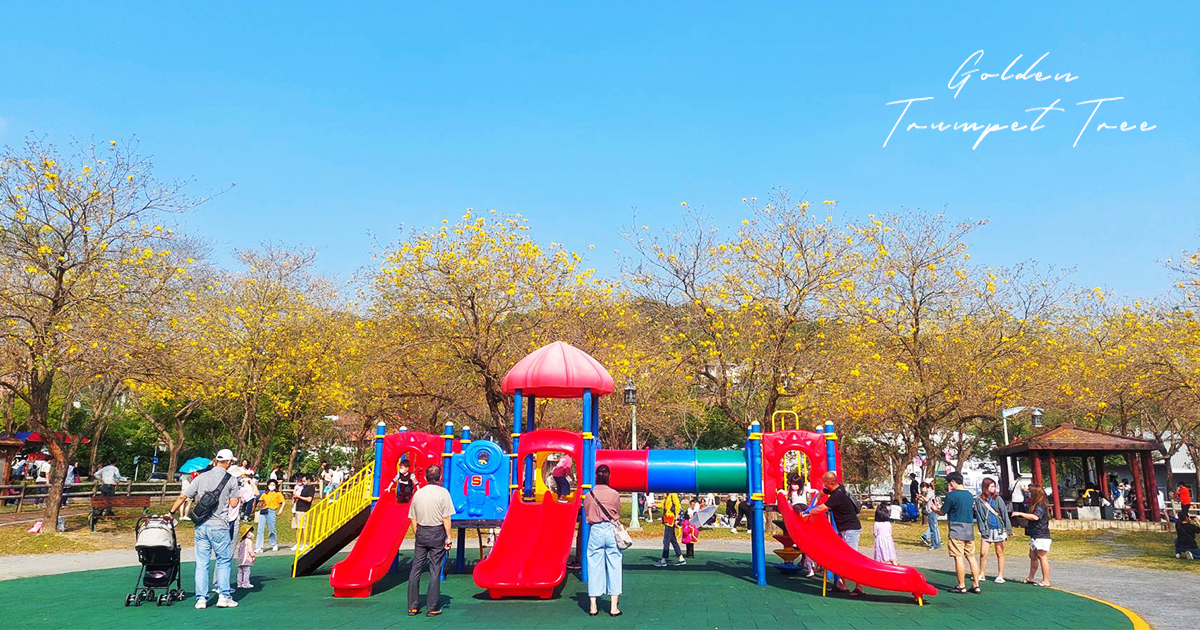 【台中景點】廍子公園｜花季限定！每當黃花風鈴木盛開時，瞬間華麗變身成為全台最美公園 @嘿!部落!