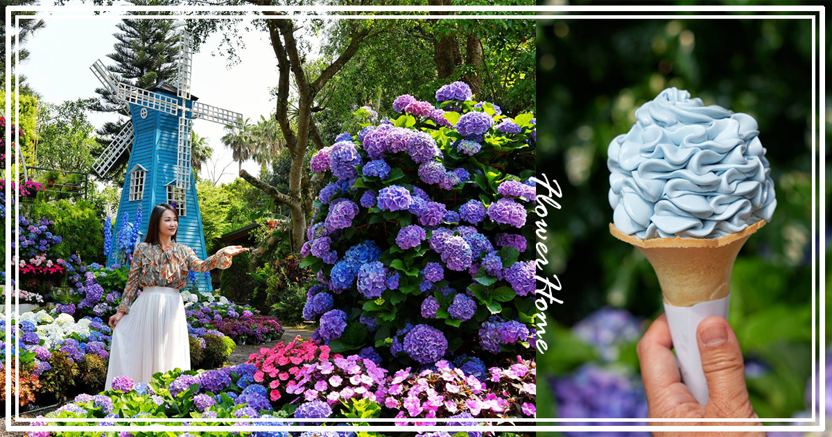 【花露農場】苗栗必訪賞花景點，繡球花季夢幻登場，2萬株花海搭配歐風造景，必嚐繡球花霜淇淋 @嘿!部落!