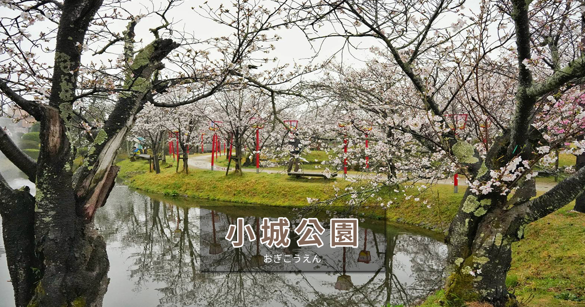【佐賀小城公園】日本櫻花名所百選之一，九州必訪賞櫻勝地，春季3000株染井吉野櫻齊盛放 @嘿!部落!