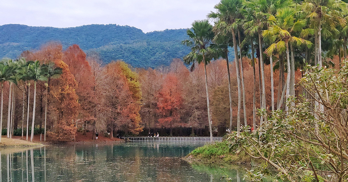 【雲山水】漫步山水之間的落羽松森林與歐風城堡莊園，感受絕美如畫的異國風情 @嘿!部落!