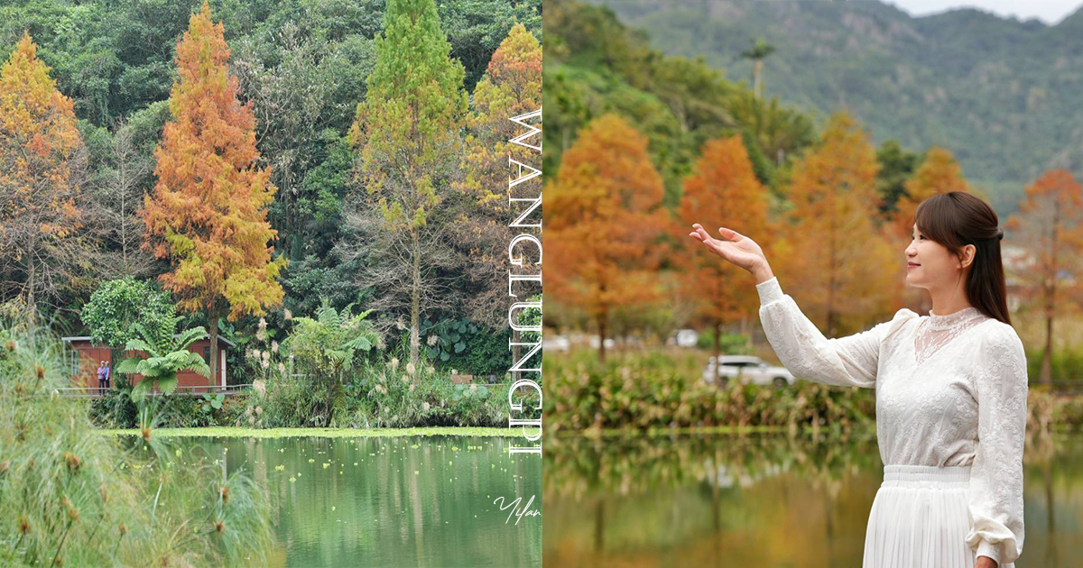 【望龍埤】抱擁湖光山色的落羽松秘境，環湖步道、環山步道、九曲橋串聯起最佳賞景路線 @嘿!部落!