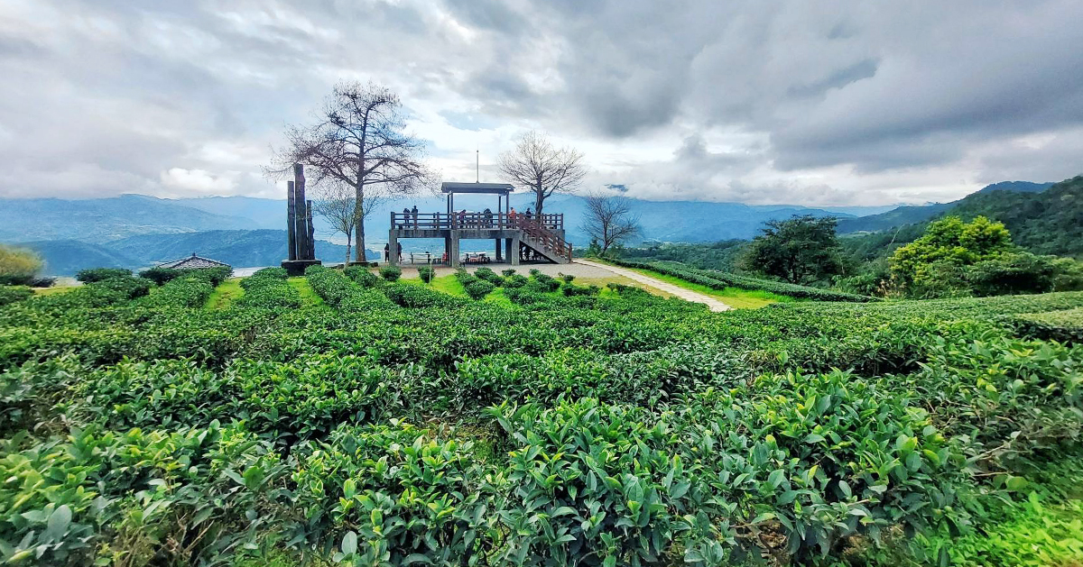 【宜蘭景點】玉蘭茶園｜到山上茶園泡壺茶，居高臨下飽覽蘭陽風光的私房秘境 @嘿!部落!