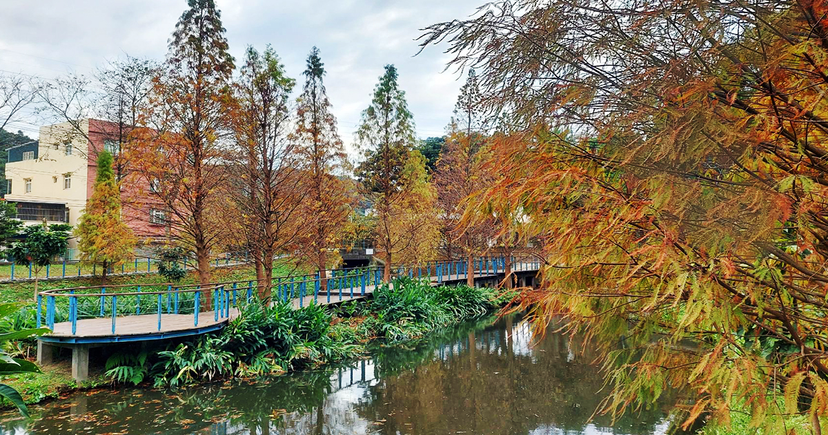 【桃園景點】長庚養生文化村｜超輕鬆的景觀休閒步道，必拍櫻花木棧道、絕美落羽松秘境 @嘿!部落!