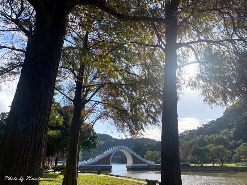 大湖公園落羽松~走進城市裡的秋冬風景 @嘿!部落!