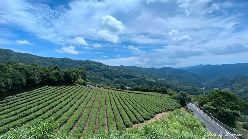 南山寺景觀平台~五分鐘步道360度無死角欣賞茶山與山嵐的美 @嘿!部落!