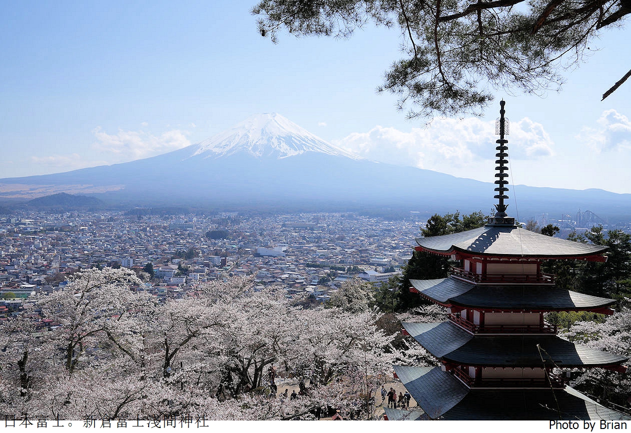 日本富士新倉富士淺間神社。新倉淺間公園滿山櫻花遙望富士山美景 @嘿!部落!