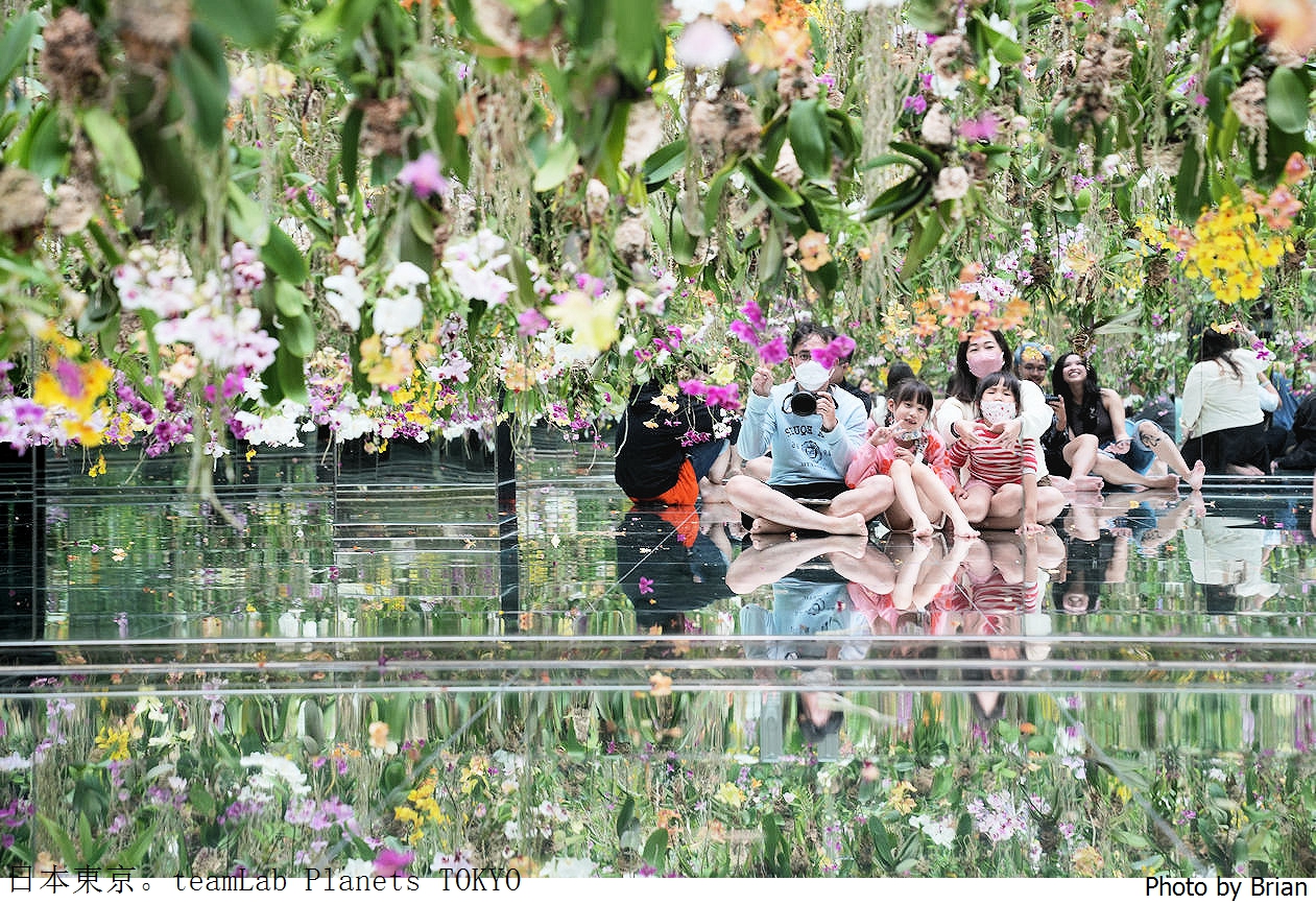 日本東京豐洲 teamLab Planets TOKYO。新型態光影美術館親子景點推薦 @嘿!部落!