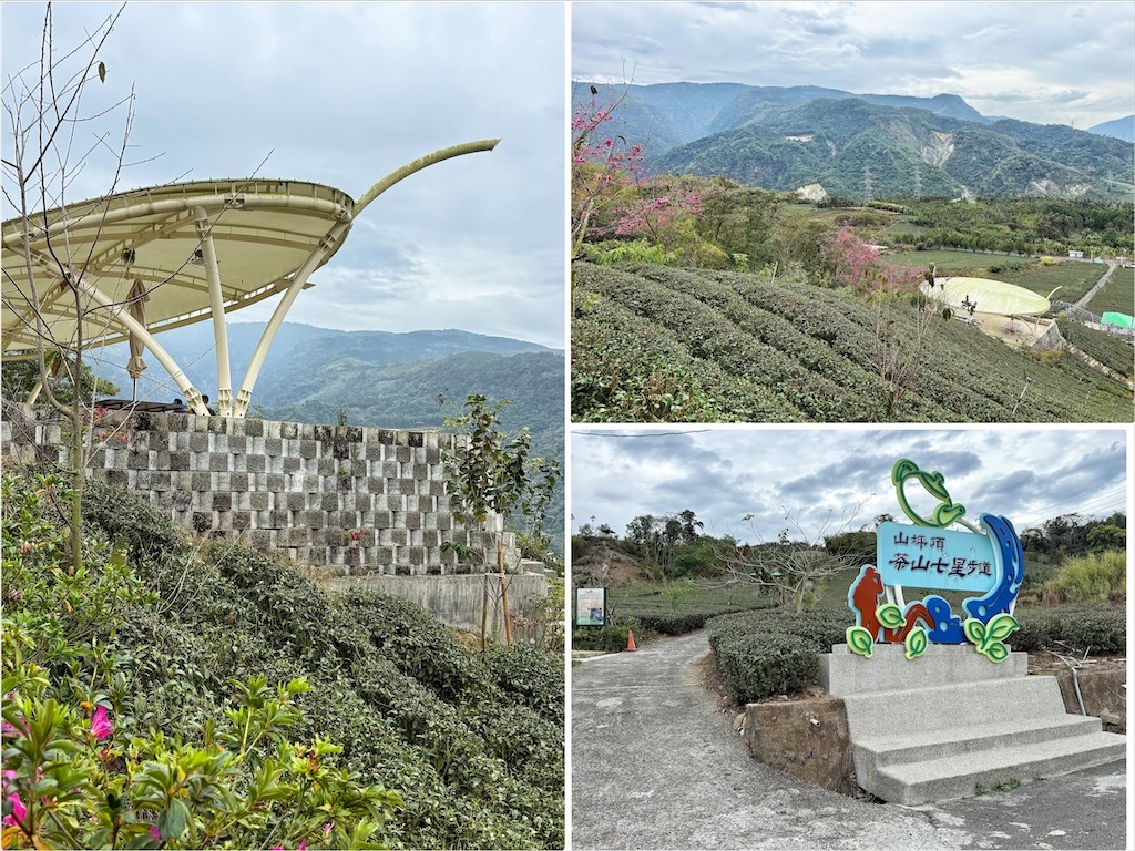 山坪頂七星步道|南投竹山景點，漫步金萱茶園步道，輕鬆登頂欣賞絕美山景，親子、寵物友善 @嘿!部落!