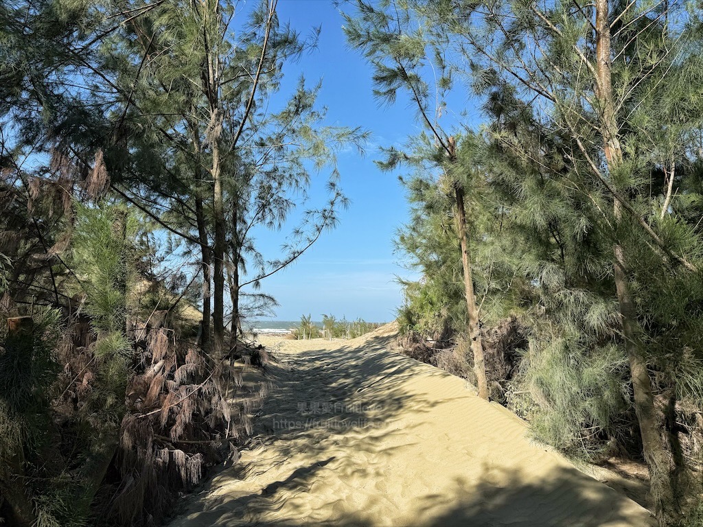 好美里防風林|嘉義布袋好美里沙灘，踏浪戲沙、挖蛤蜊、觀賞夕陽，享受親子時光 @嘿!部落!
