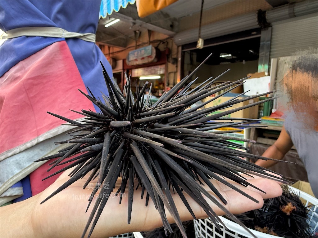 正港ㄟ傳統粉圓&rang;澎湖馬公北辰市場美食，澎湖現剖現吃的海膽，味道真的讓人回味無窮 @嘿!部落!