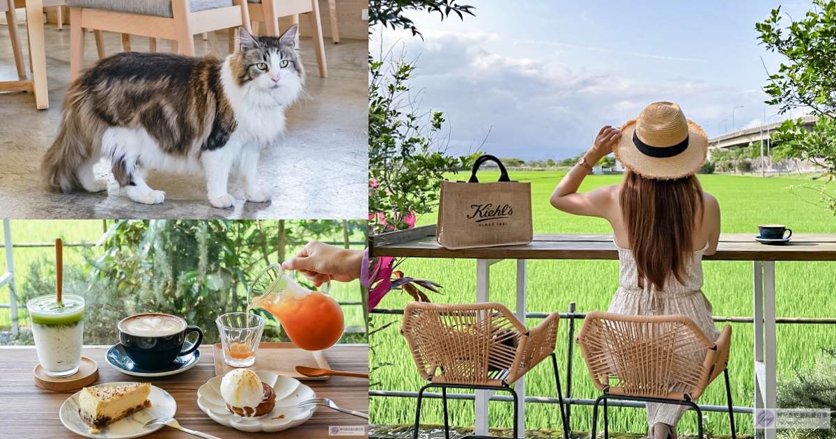 宜蘭壯圍美食-After Coffee-隱藏在田野間！！超Chill的咖啡廳，還有緬因貓坐陪/鄰近國道5號交流道 @嘿!部落!