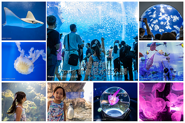 桃園青埔最新親子景點 XPARK水族館 2020/8/7正式開幕 8/8實際看過之後的評價分享 @嘿!部落!