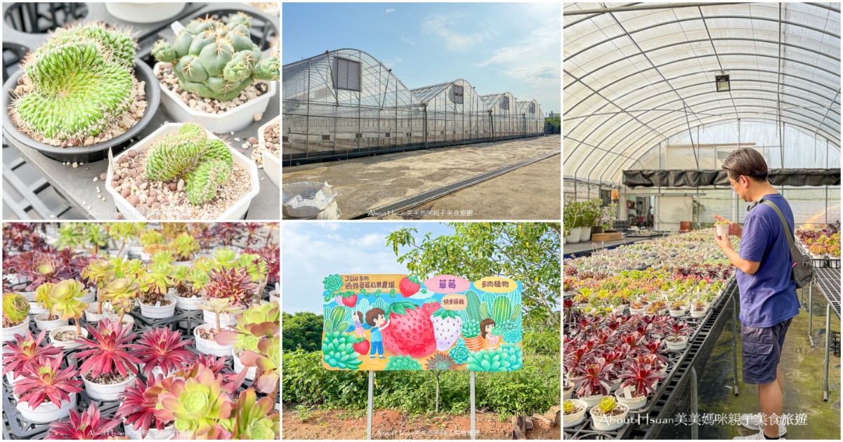 中壢果園採草莓採瓜果買多肉植物 J&W多肉過嶺草莓瓜果農園 600坪高架室內草莓園不怕風吹雨淋 @嘿!部落!