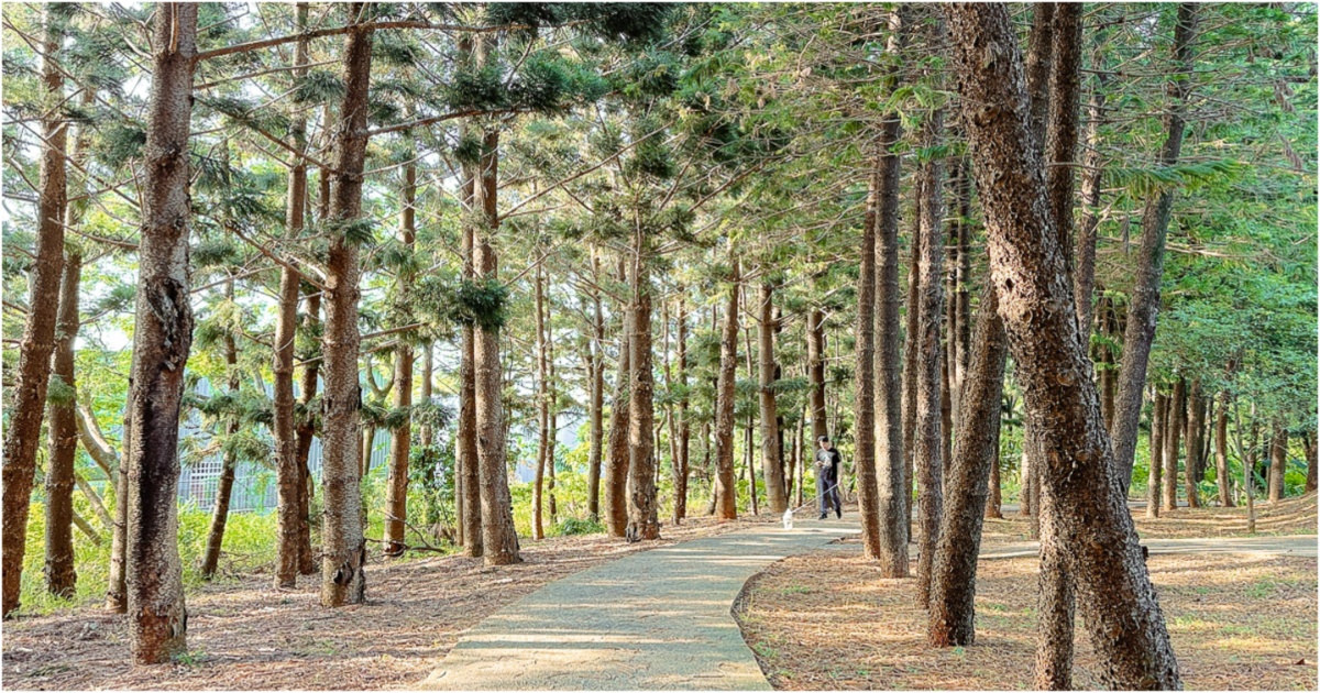 過嶺森林公園 鮮少人知的中壢秘境 四季不同的花卉植物 大片落羽松、睡蓮，生態保護池與環湖步道 彷彿來到世外桃源 @嘿!部落!