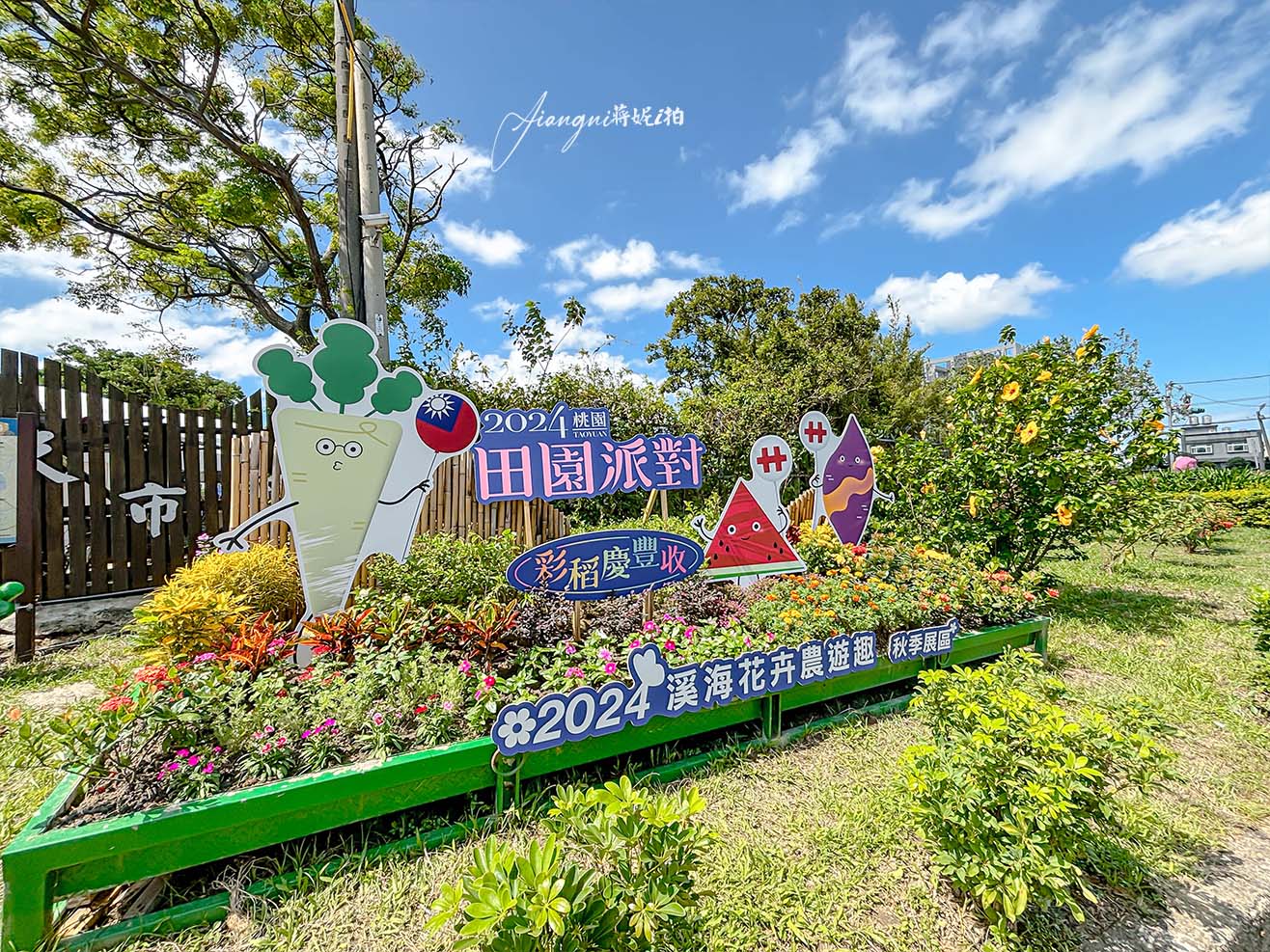 全台最大彩繪稻田在桃園 1.2萬坪五色稻田 田園派對 免費參觀 接駁車 @嘿!部落!