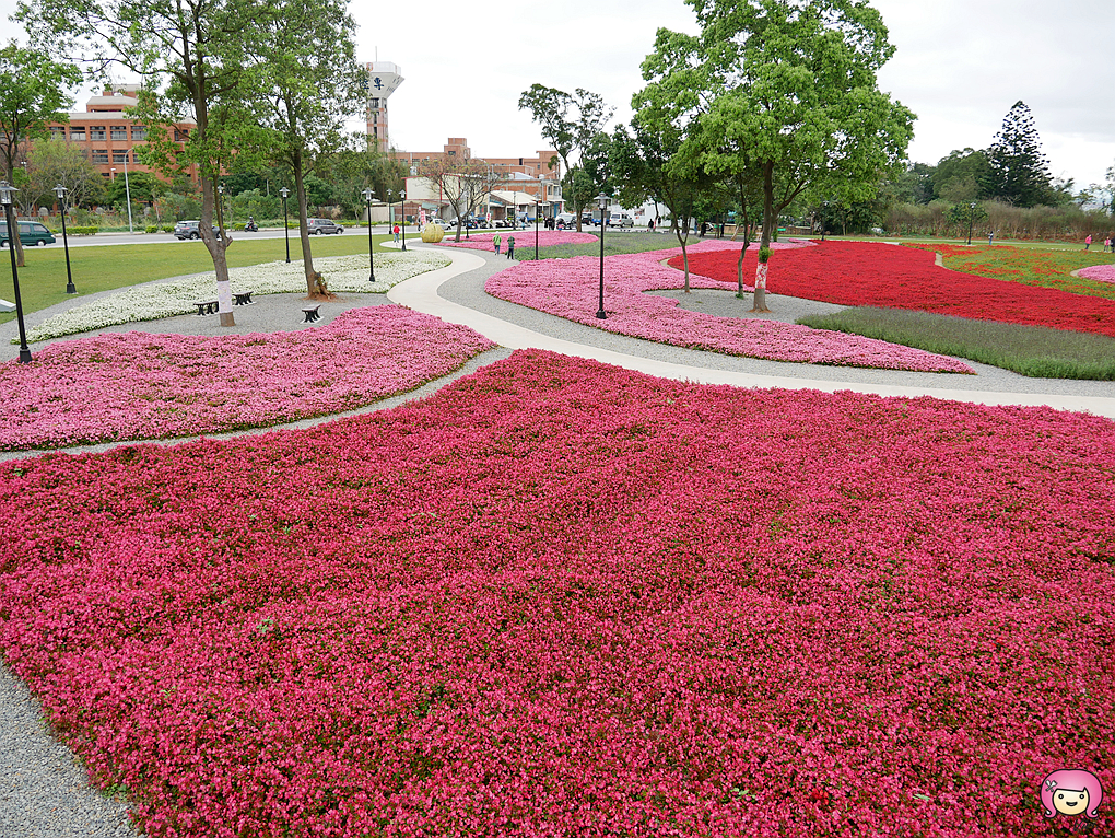 即時熱門文章：[八德旅遊]花舞霄裡HAKKA進行曲．彩虹花海|免費景點~共融遊戲場．北區客家園區