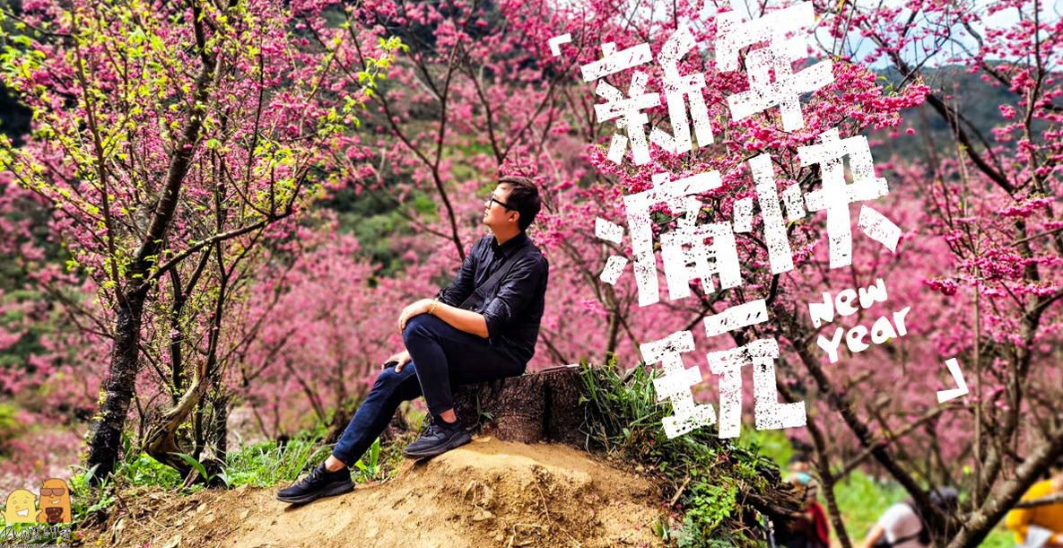 2024新年走春北部賞櫻懶人包!5大賞櫻景點 住宿飯店直接不私藏報給你知 @嘿!部落!