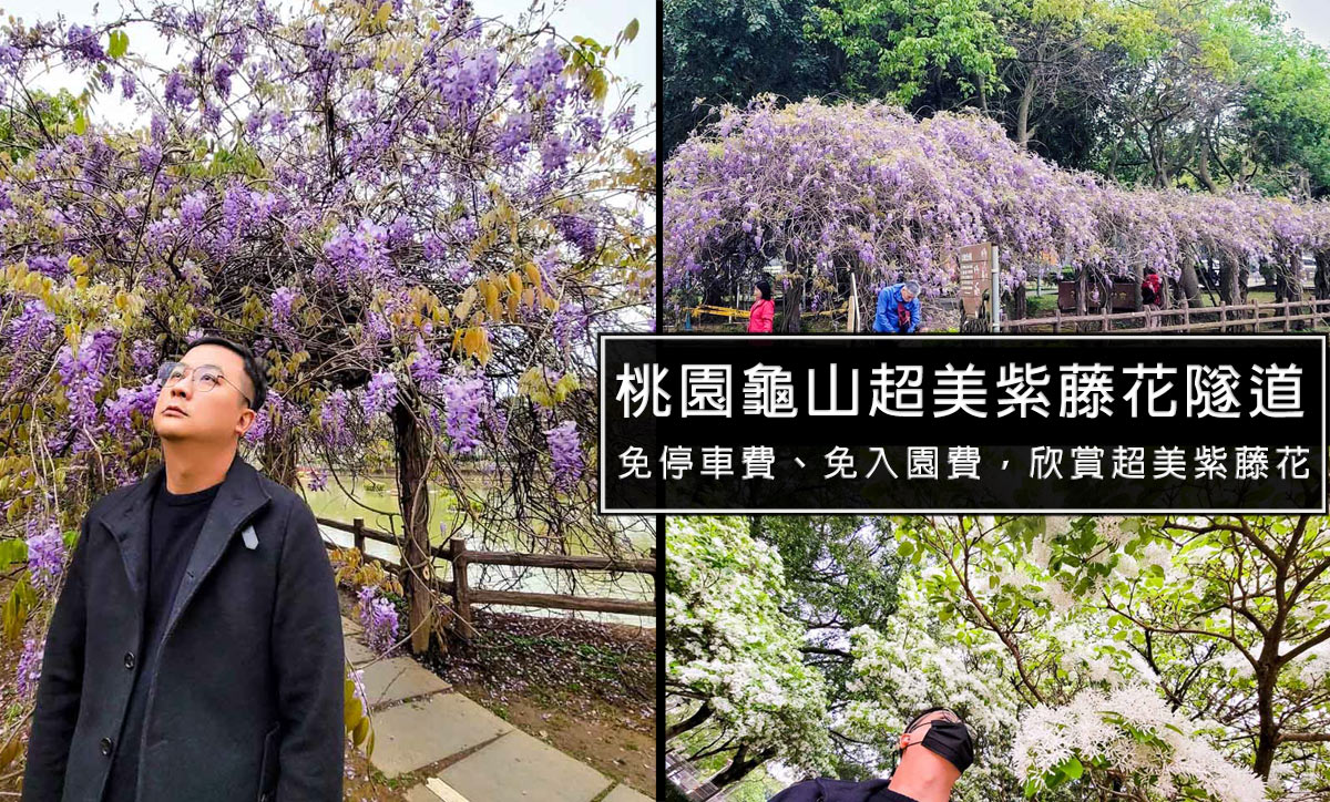 板橋追樂秘式泰鍋物-推薦必吃!超美味宮廷名膳椰子雞，不用出國也能享受道地泰鍋物 @嘿!部落!