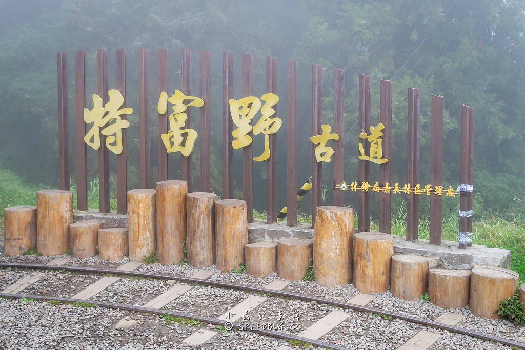 即時熱門文章：嘉義．阿里山｜特富野古道自忠段．舊鐵道與枕木相伴的森林浴步道