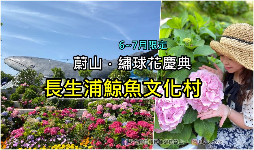 【蔚山景點】6-7月限定繡球花｜長生浦鯨魚文化村，夢幻花海與鯨魚主題一次滿足 @嘿!部落!