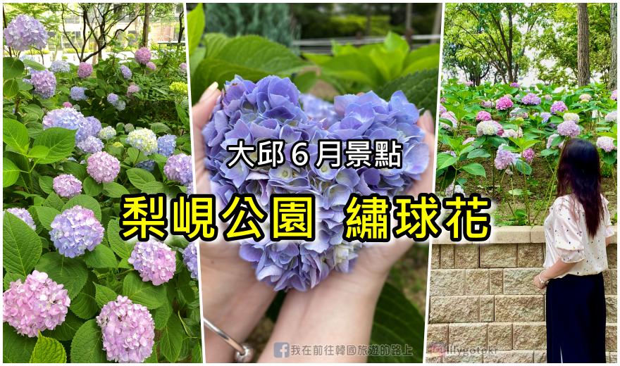 68)大邱．西大邱｜四季隱藏版賞花景點「梨峴公園」繡球花、櫻花、玫瑰等，還有兒童遊樂區 @嘿!部落!