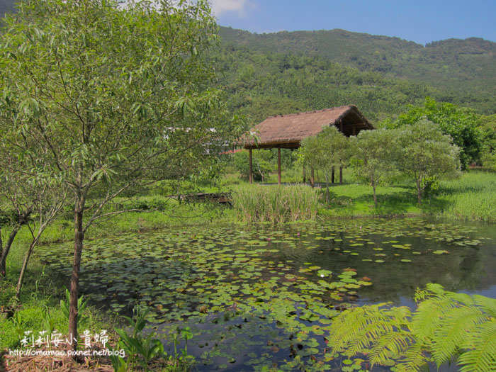 【花蓮】景點推薦–光復馬太鞍濕地、欣綠農園。阿美族的生態寶藏 @嘿!部落!