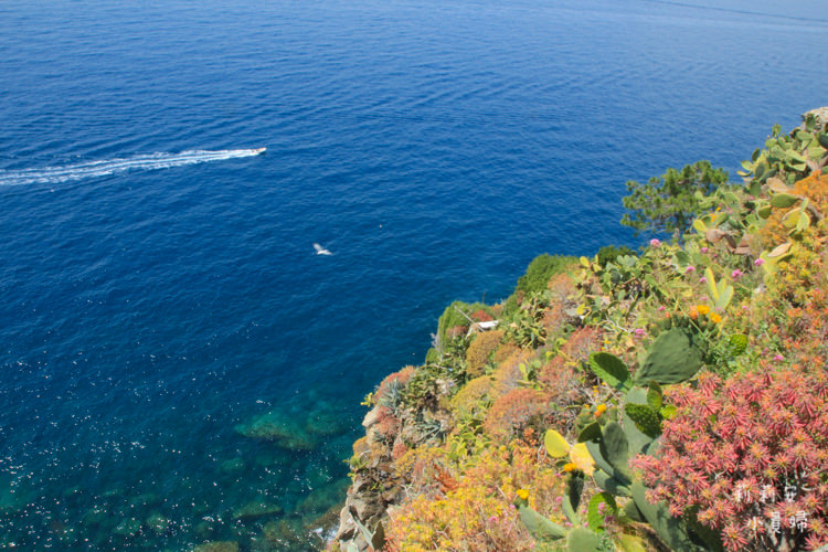 【義大利自助旅行】五漁村國家公園Cinque Terre。Corniglia & Monterosso交通方式、推薦美食與知名景點 @嘿!部落!