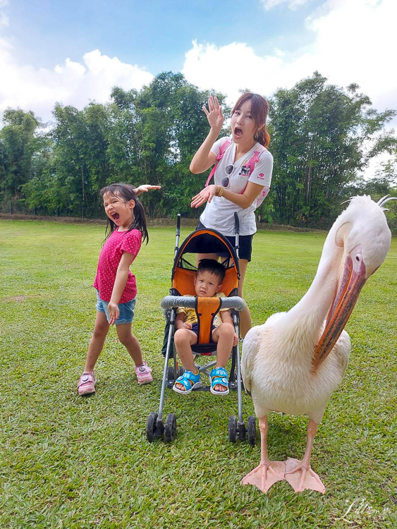 【新竹】綠世界生態農場。近距離與動物互動，適合週末親子出遊的推薦景點 @嘿!部落!