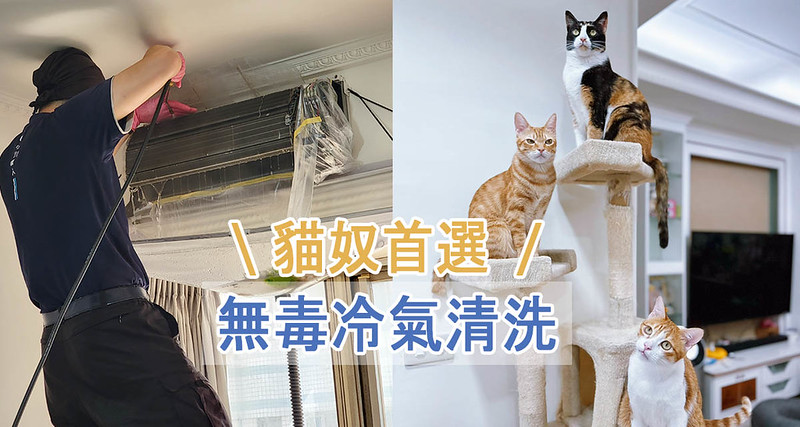 貓奴安心首選┃小川無毒冷氣清洗，對貓咪無害可自然分解！台中洗冷氣推薦 @嘿!部落!