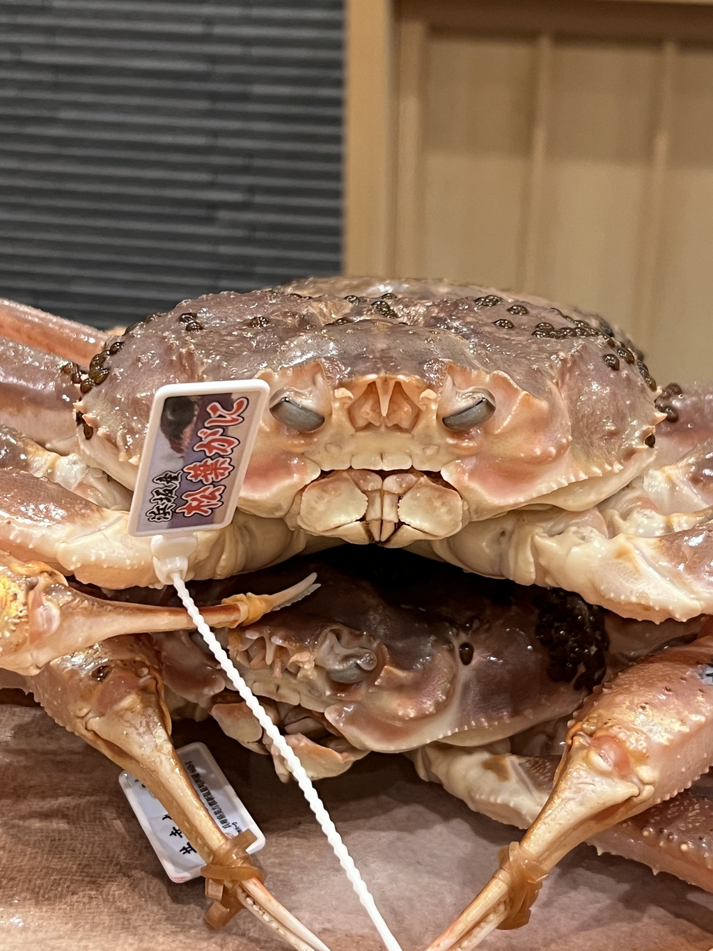 【山陰美食】【鳥取美食】鳥取松葉蟹推薦｜米其林二星「みつき」體驗記｜日本冬季必吃高級螃蟹料理 @嘿!部落!