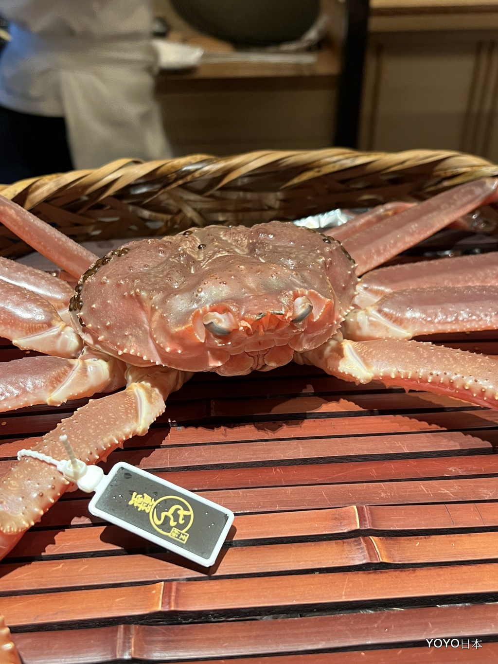 【東京美食】銀座ふじやま的巧妙緣分  松葉蟹料理 @嘿!部落!