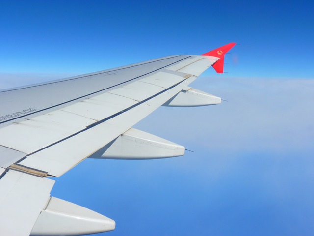 即時熱門文章：[指南] Flight Connection 查找傳統廉航航線整合平台
