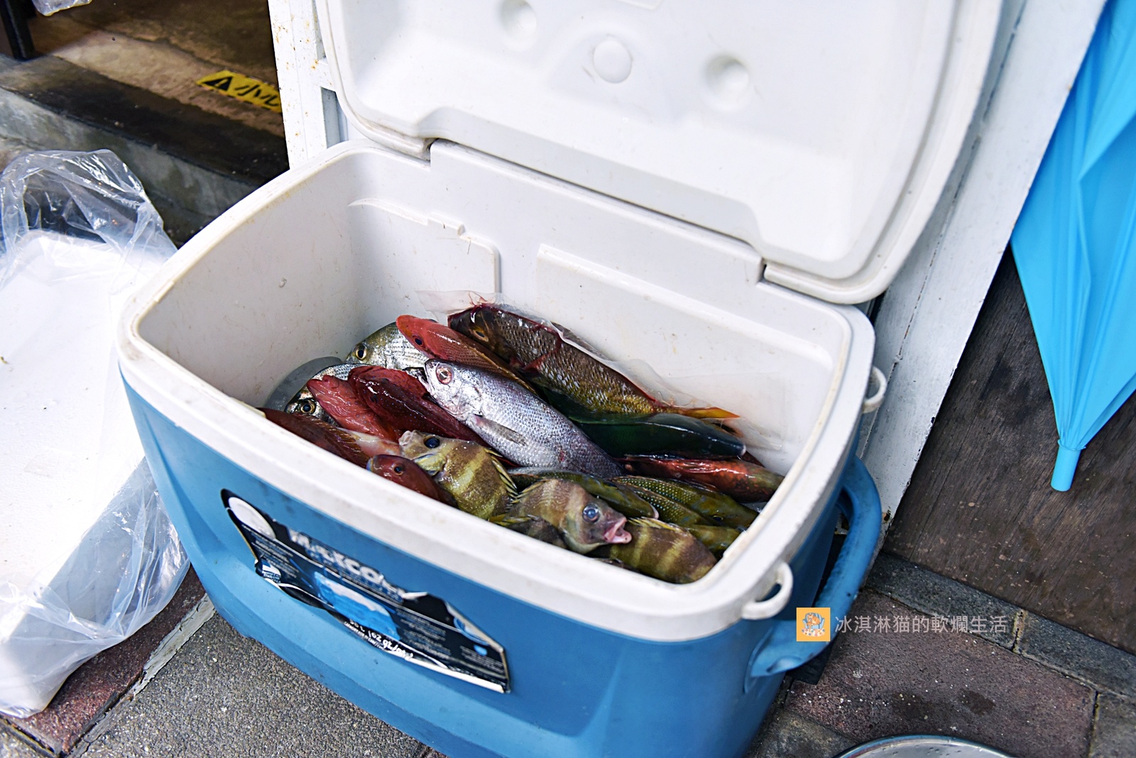 民生社區美食｜老木小店大推澎湖海鮮料理，每天直送鮮魚 @嘿!部落!