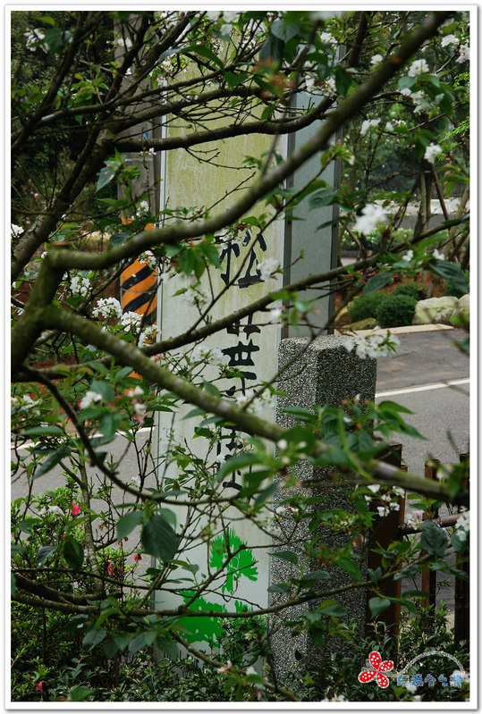 桃園龍潭｜松葉園人文景觀餐廳 @嘿!部落!