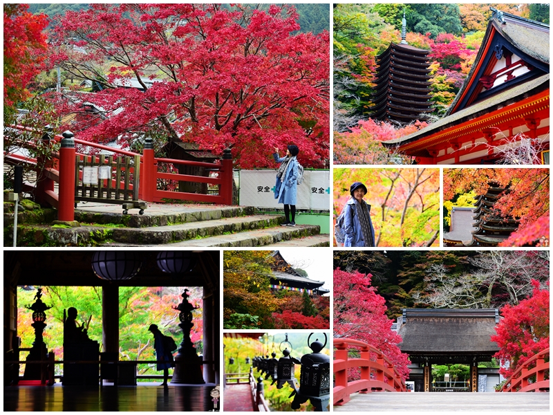 奈良古寺賞楓｜使用KINTETSU RAIL PASS 2days(內含奈良交通巴士)，一日暢遊談山神社x室生寺x長谷寺 交通資訊 @嘿!部落!