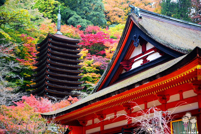 即時熱門文章：奈良賞楓｜美到像幅畫的紅葉名所～談山神社