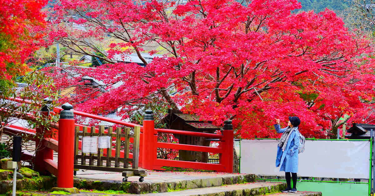 奈良賞楓｜女人高野＿室生寺，奈良紅葉勝地，千年古寺飄楓情 @嘿!部落!